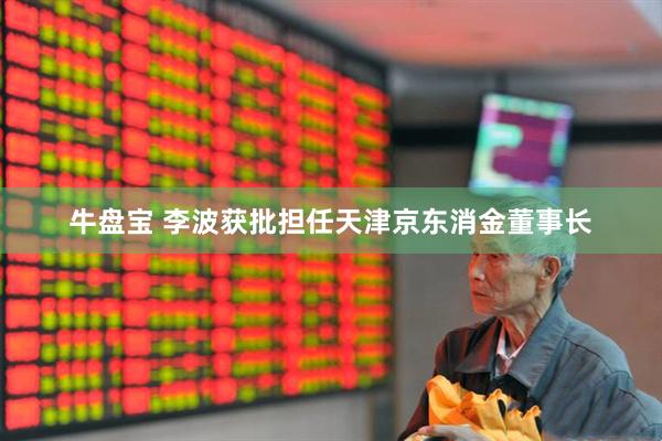 牛盘宝 李波获批担任天津京东消金董事长