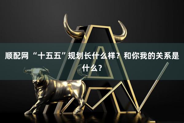 顺配网 “十五五”规划长什么样？和你我的关系是什么？