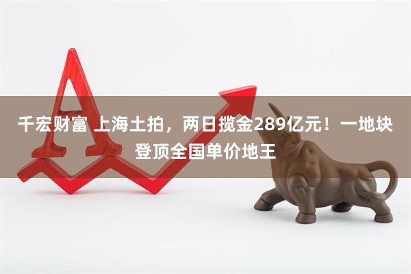 千宏财富 上海土拍，两日揽金289亿元！一地块登顶全国单价地王