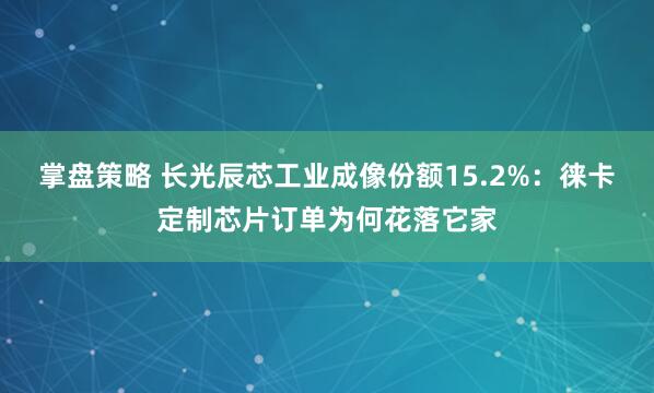 掌盘策略 长光辰芯工业成像份额15.2%：徕卡定制芯片订单为何花落它家